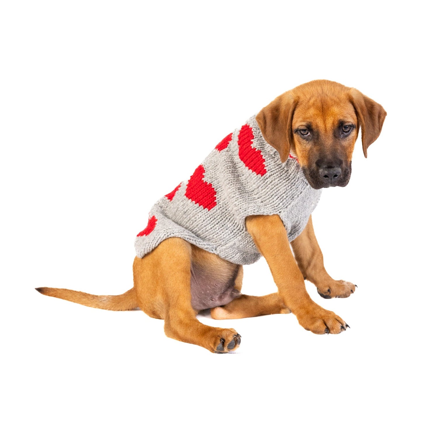 Red Hearts Dog Sweater