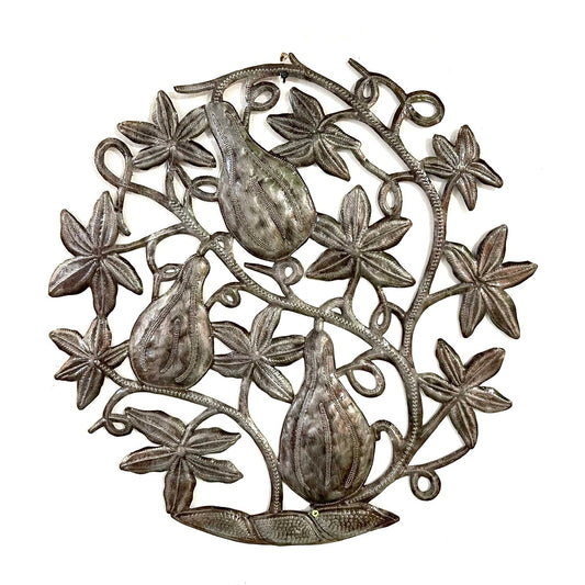 Steel Gourd Plant