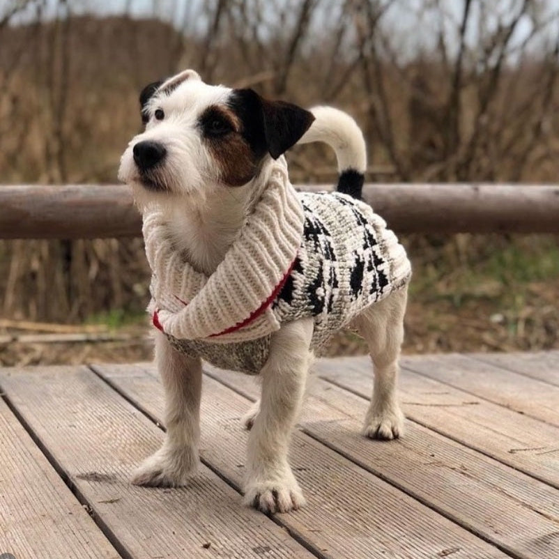 Jackson Dog Sweater