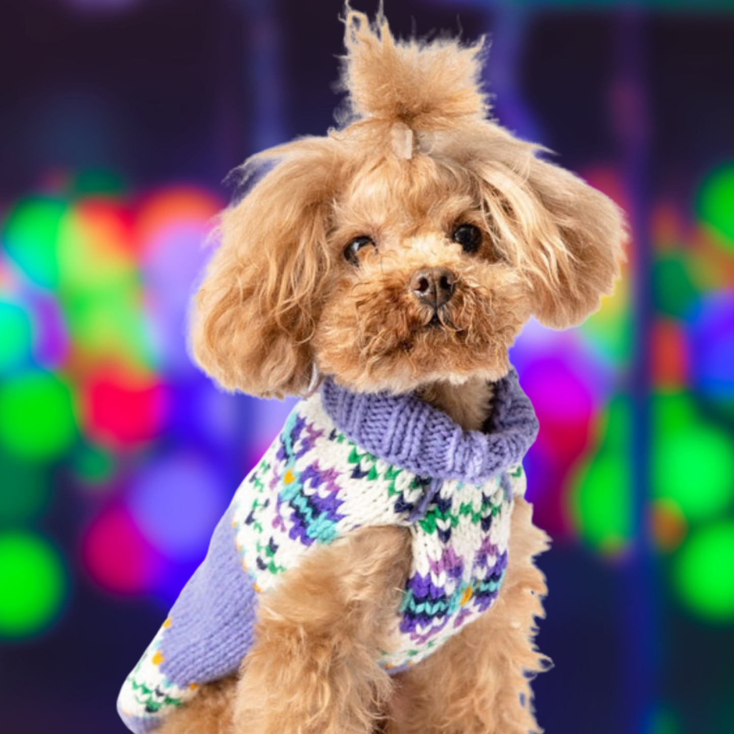 Lavender Flowers Dog Sweater
