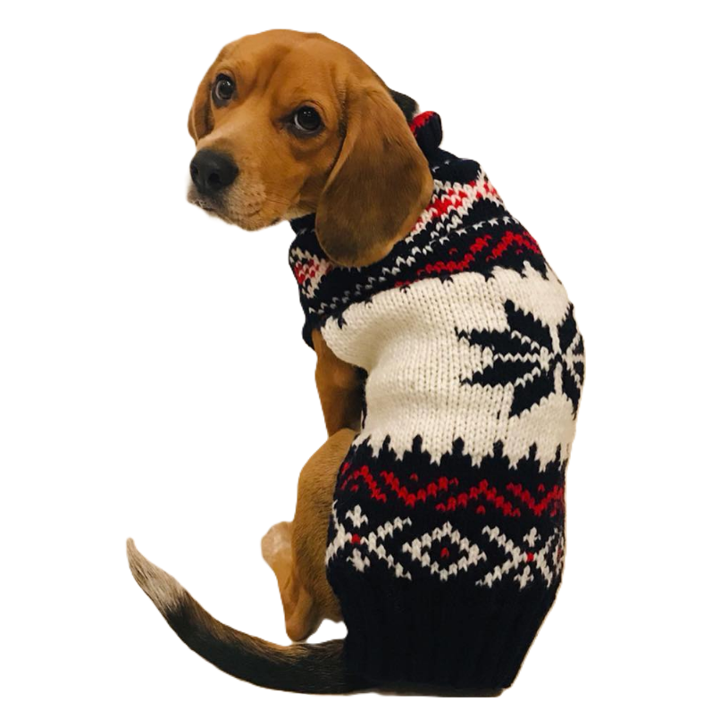 Navy Vail Dog Sweater