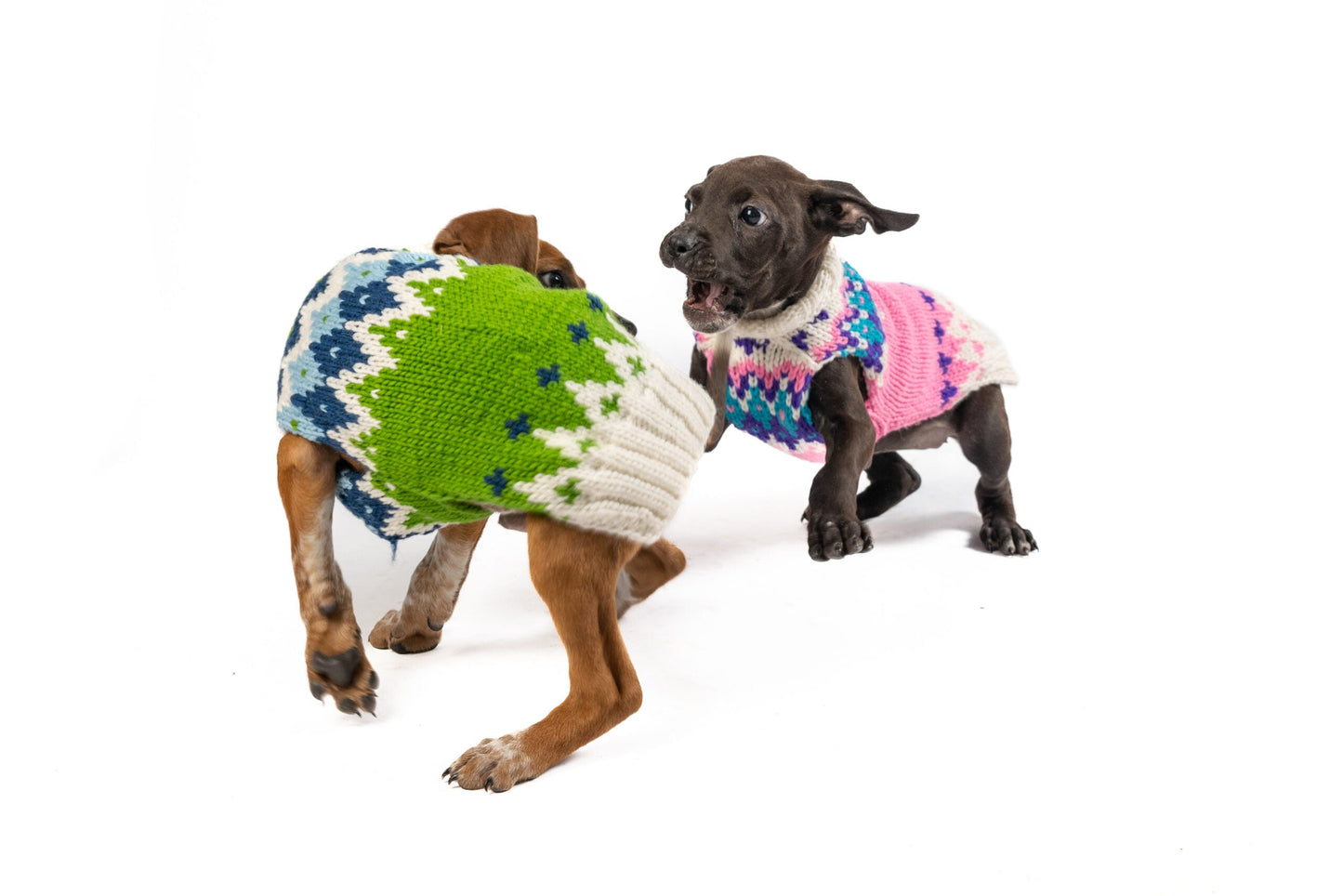 Pink Ski Bum Dog Sweater