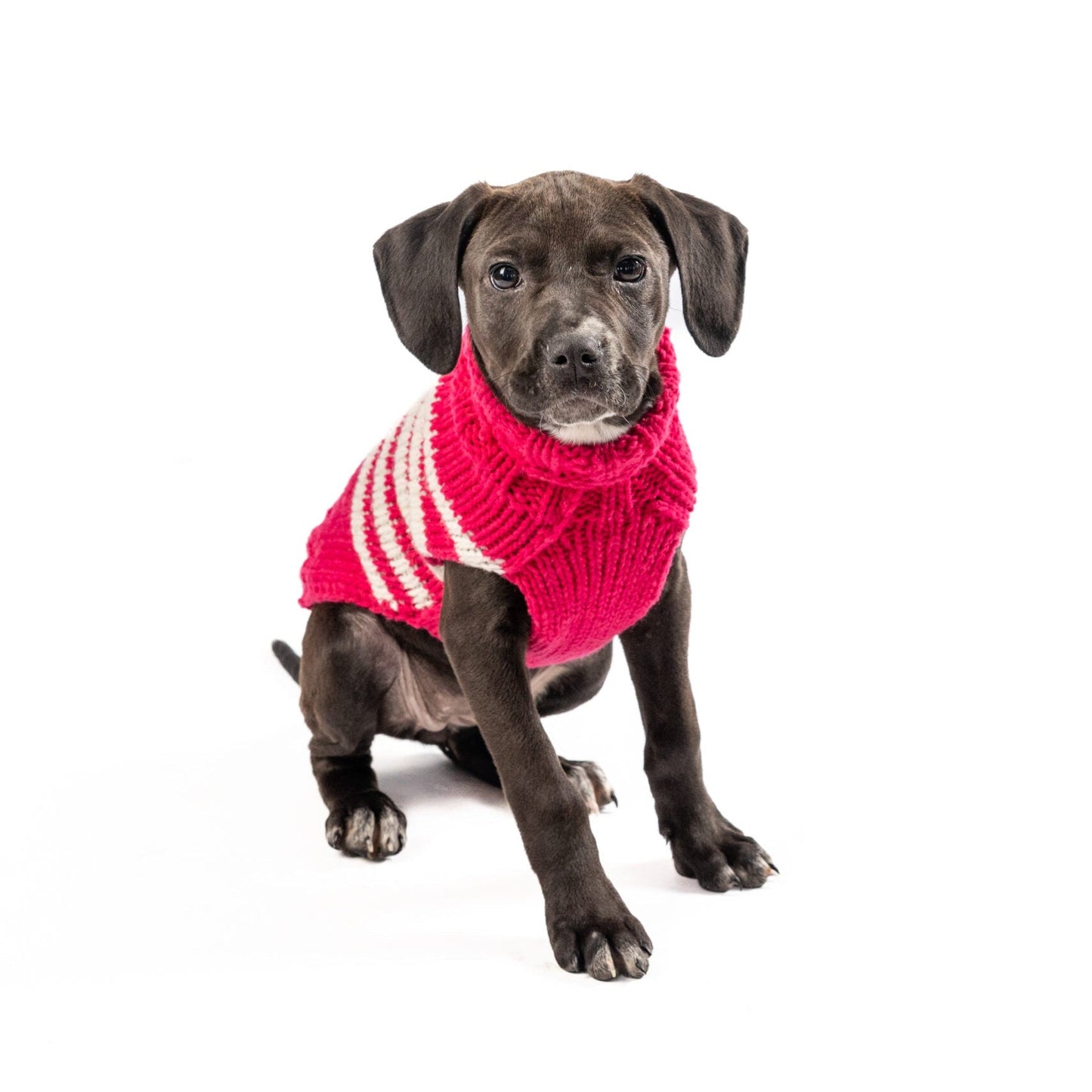 Katie Alpaca Stripe Dog Sweater