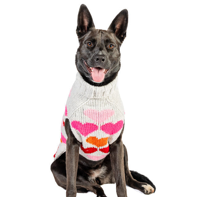 Puppy Love Dog Sweater