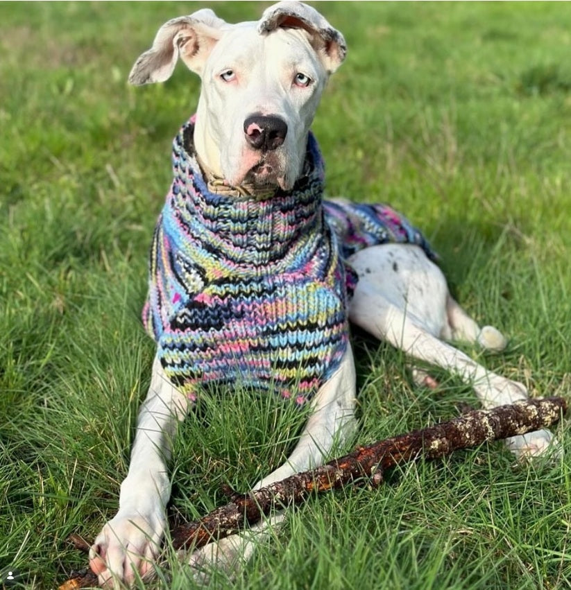 Purple Woodstock Dog Sweater