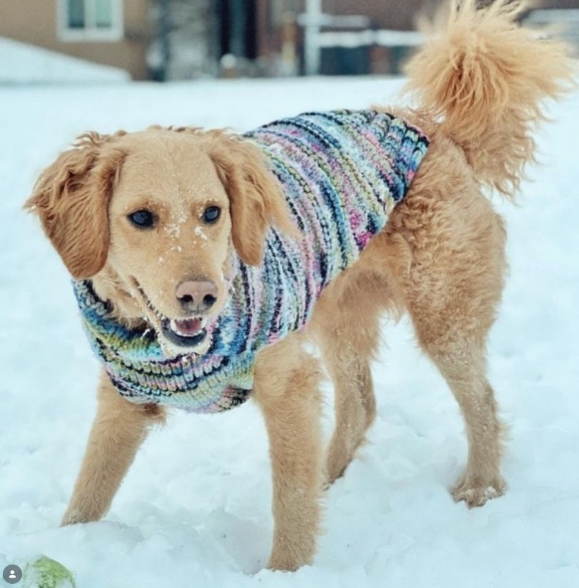 Purple Woodstock Dog Sweater