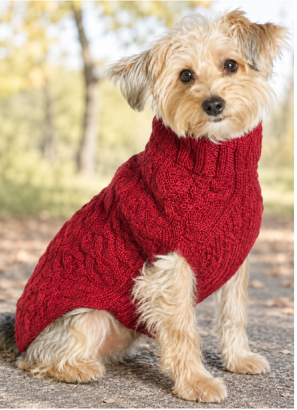 Red Cable Knit Dog Sweater