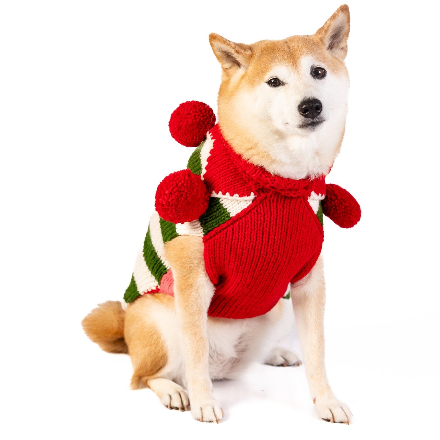 Christmas Elf Holiday Dog Sweater