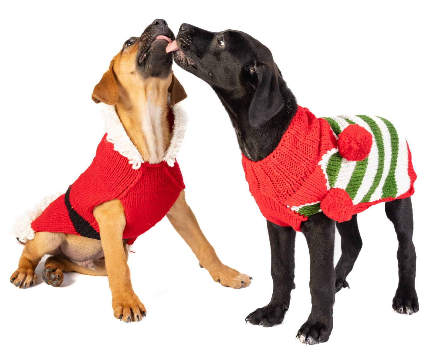 Christmas Elf Holiday Dog Sweater
