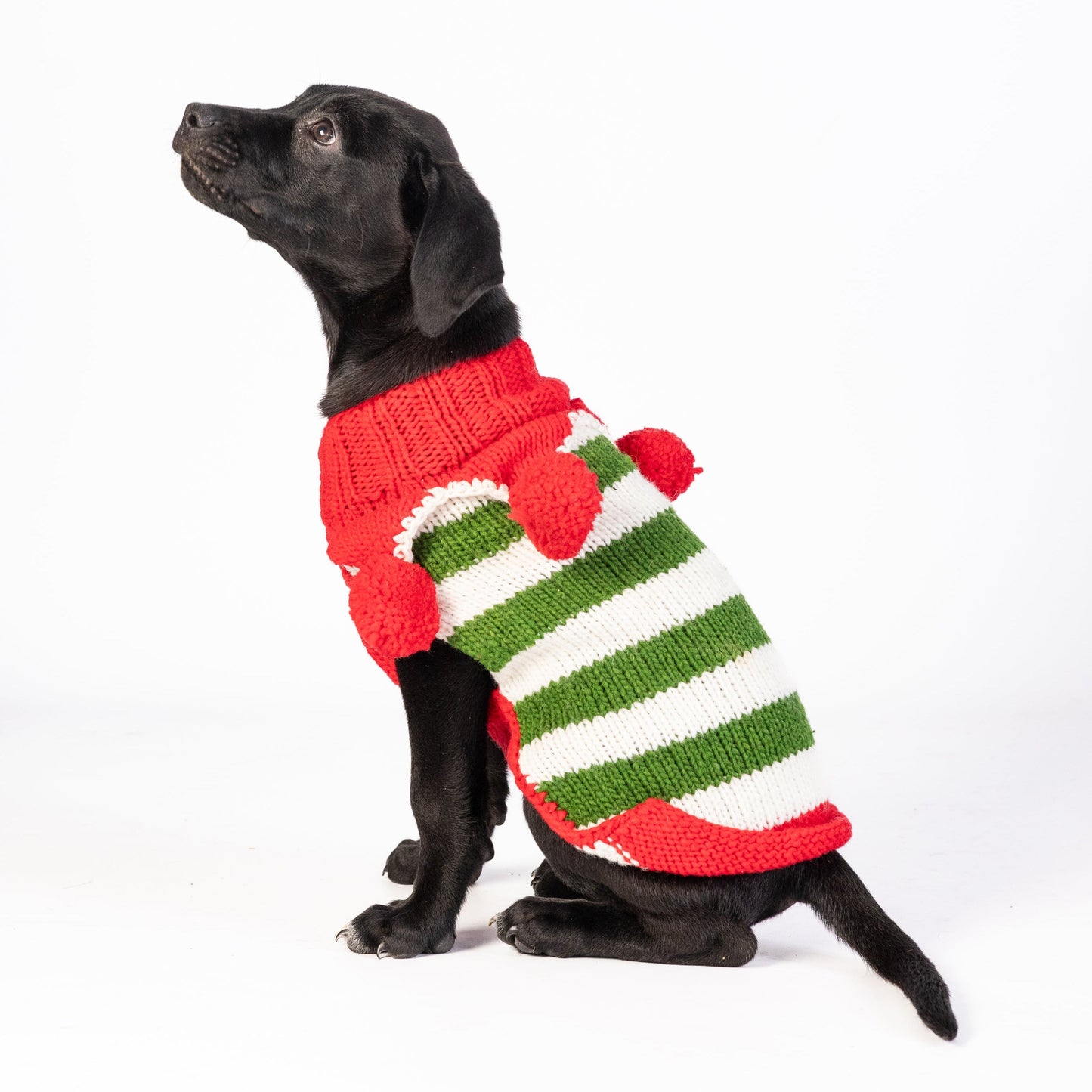 Christmas Elf Holiday Dog Sweater