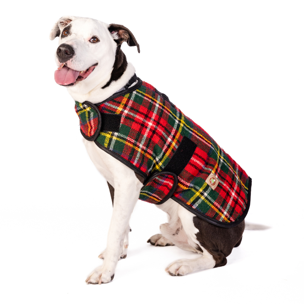 Scotty Plaid Dog Coat