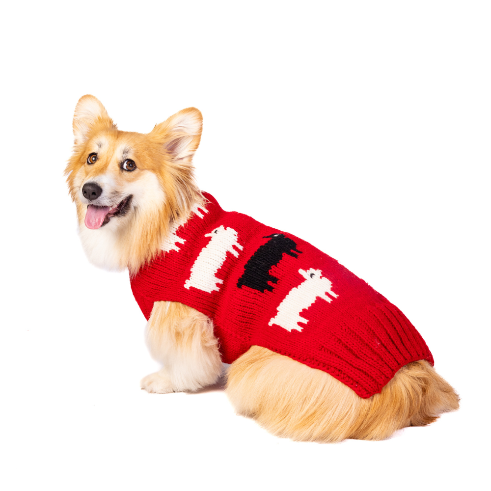 Black Sheep Dog Sweater
