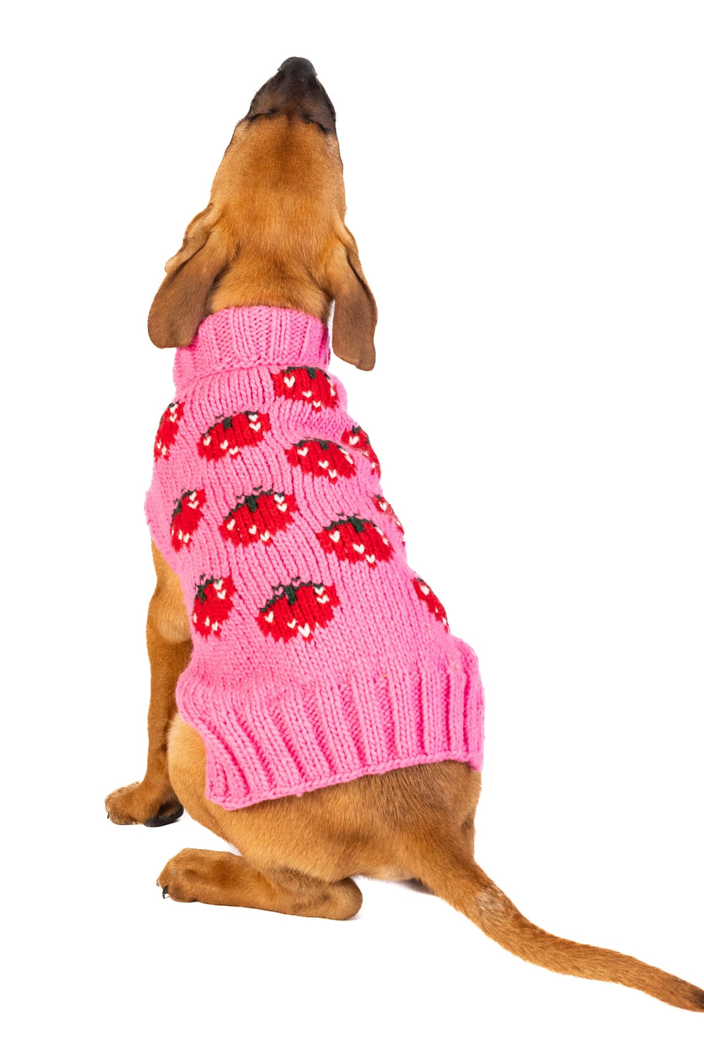 Strawberry Dog Sweater