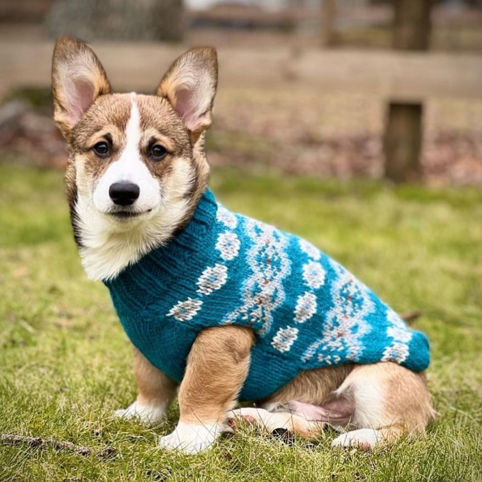 Alpaca Teal Fair Isle Dog Sweater