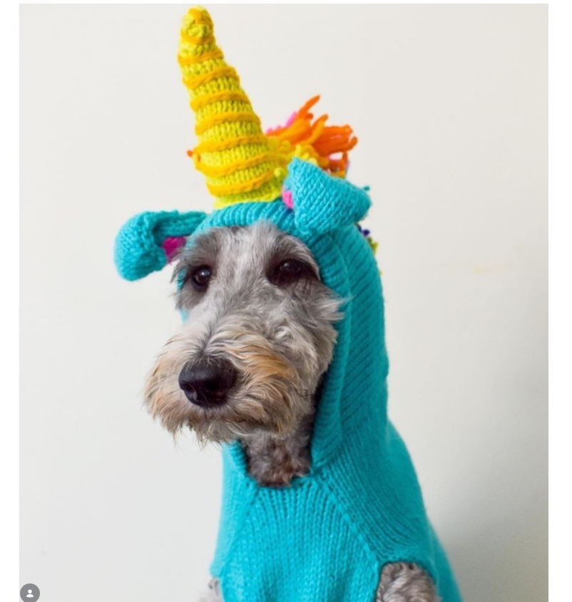 Unicorn Dog Sweater