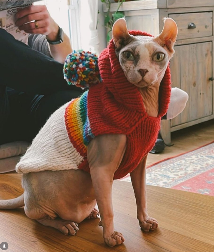 Vintage Ski Hoodie Dog Sweater