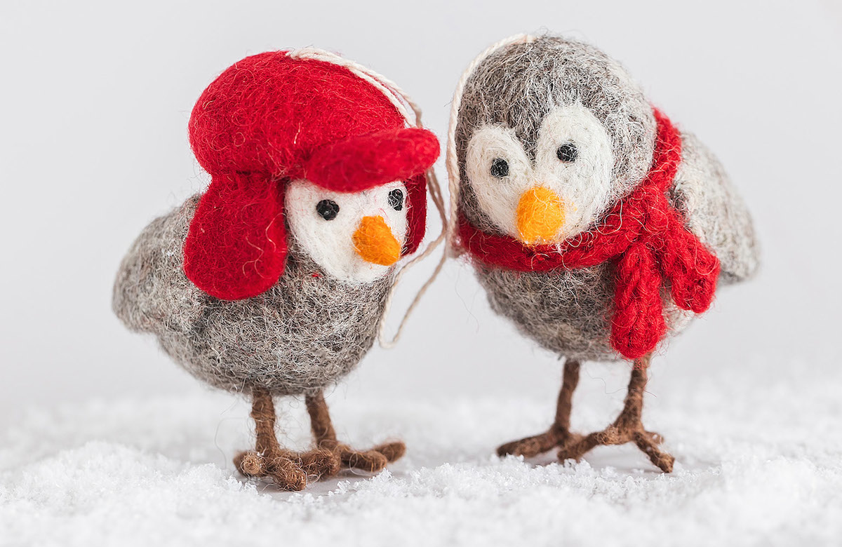 Festive Finch Ornament Duo from Nepal